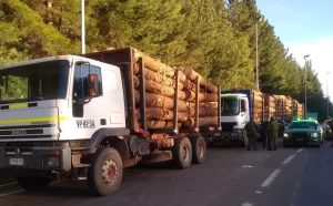 Robo de madera