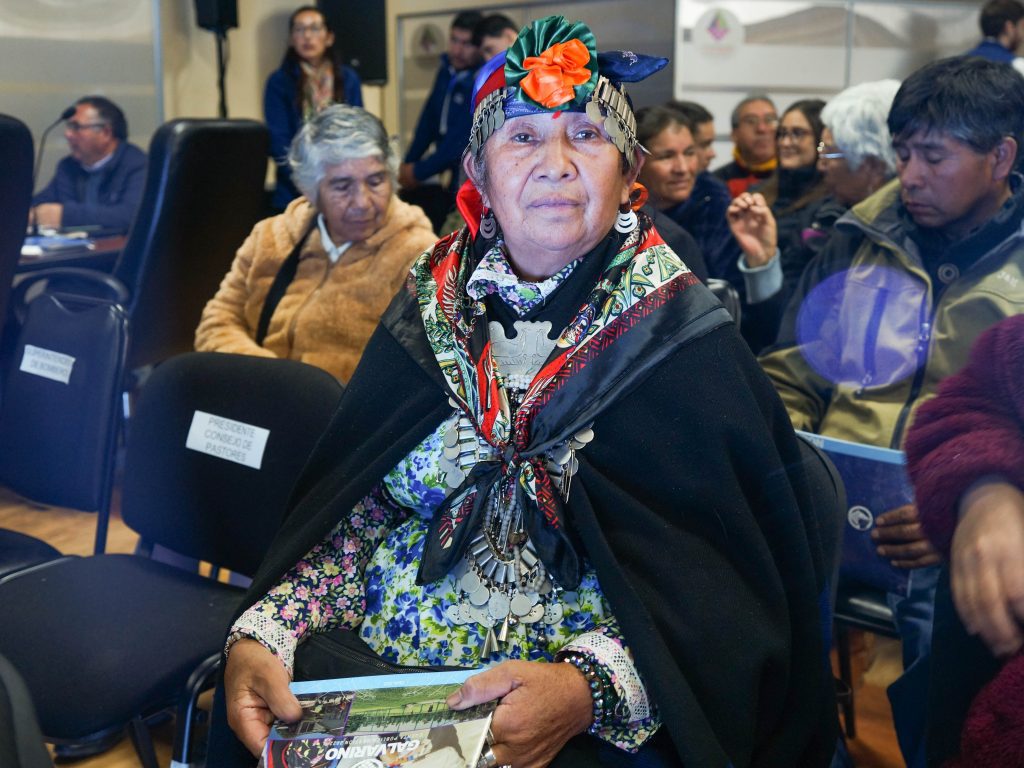 Foto: Mayra Sepúlveda Inostroza
