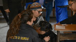 Centro Veterinario Municipal Villarrica