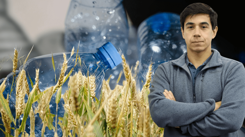 Ciencia e innovación desde Temuco: Investigador local busca transformar paja de trigo en bioplásticos sostenibles