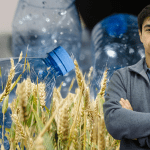 Ciencia e innovación desde Temuco: Investigador local busca transformar paja de trigo en bioplásticos sostenibles