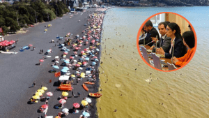 Plan de Descontaminación del Lago Villarrica vuelve a Contraloría: Ajustes formales, pero sin avances