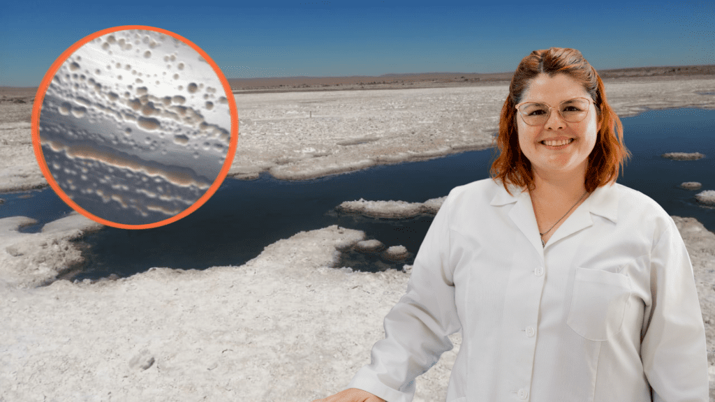 Investigación liderada por científicas del CATA analiza gases de bacterias extremófilas del norte de Chile y su potencial para ser detectados en atmósferas de exoplanetas similares a la Tierra primitiva. Nota: Un equipo de investigadoras en Chile está explorando cómo microorganismos que habitan en condiciones extremas del desierto de Atacama podrían aportar claves en la búsqueda de vida fuera del Sistema Solar. El estudio, liderado por Valeska Molina junto a científicas del Centro de Astrofísica y Tecnologías Afines (CATA), se centra en los gases producidos por bacterias que viven en salares del norte del país y su posible detección en atmósferas de exoplanetas. La investigación analizó la bacteria Roseovarius sp., aislada en el Salar de Llamara, un entorno hipersalino considerado análogo a condiciones de la Tierra primitiva. A partir de su metabolismo, el equipo estudió gases como monóxido y dióxido de carbono, evaluando si sus señales podrían ser identificadas a escala planetaria mediante herramientas astronómicas como espectroscopía Raman e infrarroja. Los resultados muestran que procesos biológicos microscópicos pueden generar señales químicas detectables a grandes distancias, lo que resulta clave para la astrobiología. En ese contexto, las científicas explican que muchas biofirmas presentes en la atmósfera terrestre —como el oxígeno, ozono o metano— tienen origen biológico, lo que permite proyectar la búsqueda de señales similares en otros planetas con condiciones distintas a las actuales de la Tierra. El estudio también releva el valor de los ecosistemas extremos del norte de Chile, donde organismos adaptados a alta radiación, salinidad y escasez de agua podrían representar modelos de vida posibles en otros mundos. El equipo proyecta ampliar la investigación incorporando nuevos microorganismos y perfeccionando modelos atmosféricos, con el objetivo de avanzar en una de las principales preguntas de la ciencia: cómo reconocer señales de vida en planetas fuera de nuestro sistema.