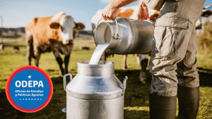"Se produce más leche, pero se paga menos por ella": Cifras oficiales muestran caída de ingresos y desaparición masiva de productores en el sector lácteo