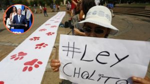 Ley Cholito: Gobierno retira reglamento complementario a ley de tenencia responsable de mascotas