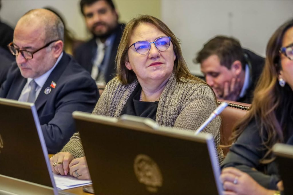 Diputada Flor Contreras ofició al Minsal y Dipres por alerta de Ferfusam sobre financiamiento de cuatro programas de salud primaria en La Araucanía.